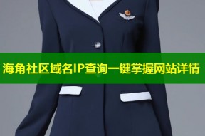 海角社区域名IP查询一键掌握网站详情