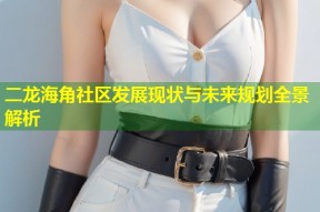 二龙海角社区发展现状与未来规划全景解析