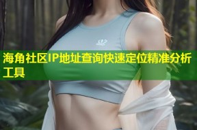 海角社区IP地址查询快速定位精准分析工具