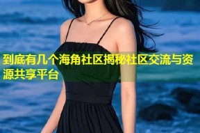到底有几个海角社区揭秘社区交流与资源共享平台