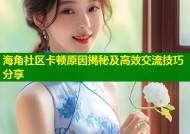 海角社区卡顿原因揭秘及高效交流技巧分享