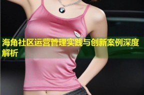 海角社区运营管理实践与创新案例深度解析