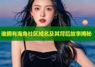 谁拥有海角社区域名及其背后故事揭秘