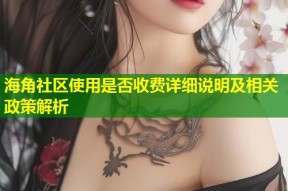 海角社区使用是否收费详细说明及相关政策解析
