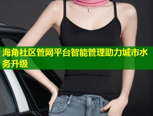 海角社区管网平台智能管理助力城市水务升级 第1张 海角社区管网平台智能管理助力城市水务升级 第1张