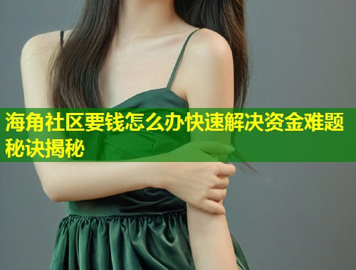 海角社区要钱怎么办快速解决资金难题秘诀揭秘 第1张 海角社区要钱怎么办快速解决资金难题秘诀揭秘 第1张