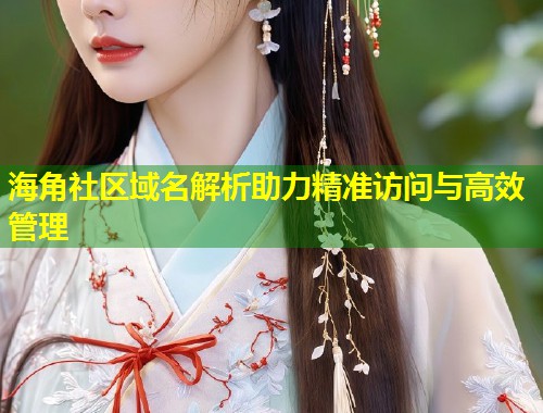 海角社区域名解析助力精准访问与高效管理 第1张 海角社区域名解析助力精准访问与高效管理 第1张