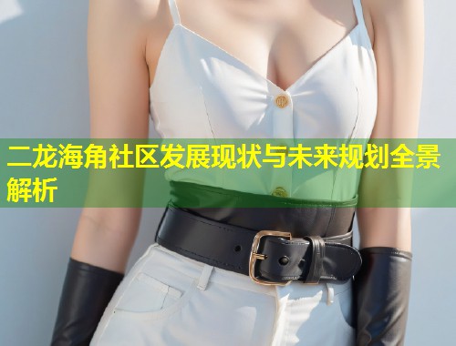 二龙海角社区发展现状与未来规划全景解析 第1张 二龙海角社区发展现状与未来规划全景解析 第1张