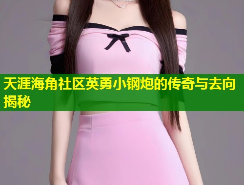 天涯海角社区英勇小钢炮的传奇与去向揭秘 第1张 天涯海角社区英勇小钢炮的传奇与去向揭秘 第1张