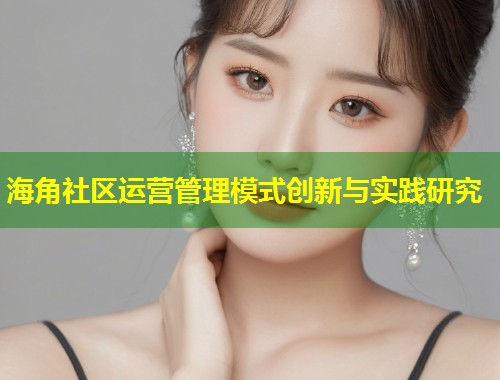 海角社区运营管理模式创新与实践研究  第1张