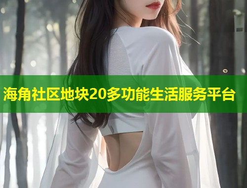 海角社区地块20多功能生活服务平台 第1张 海角社区地块20多功能生活服务平台 第1张