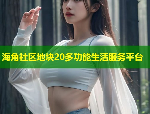 海角社区地块20多功能生活服务平台 第2张 海角社区地块20多功能生活服务平台 第2张