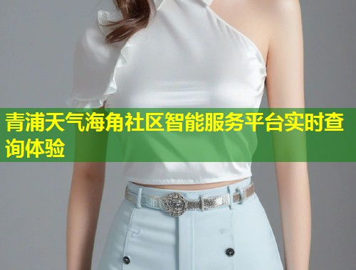 青浦天气海角社区智能服务平台实时查询体验 第1张 青浦天气海角社区智能服务平台实时查询体验 第1张