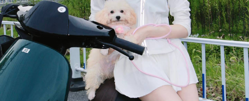 2025海角论坛首页登录入口